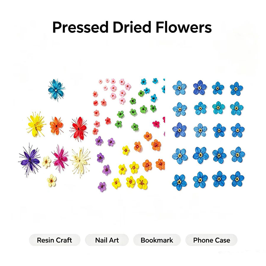 60pcs Mini Pressed Dried Flowe - Resin Art Case review and price