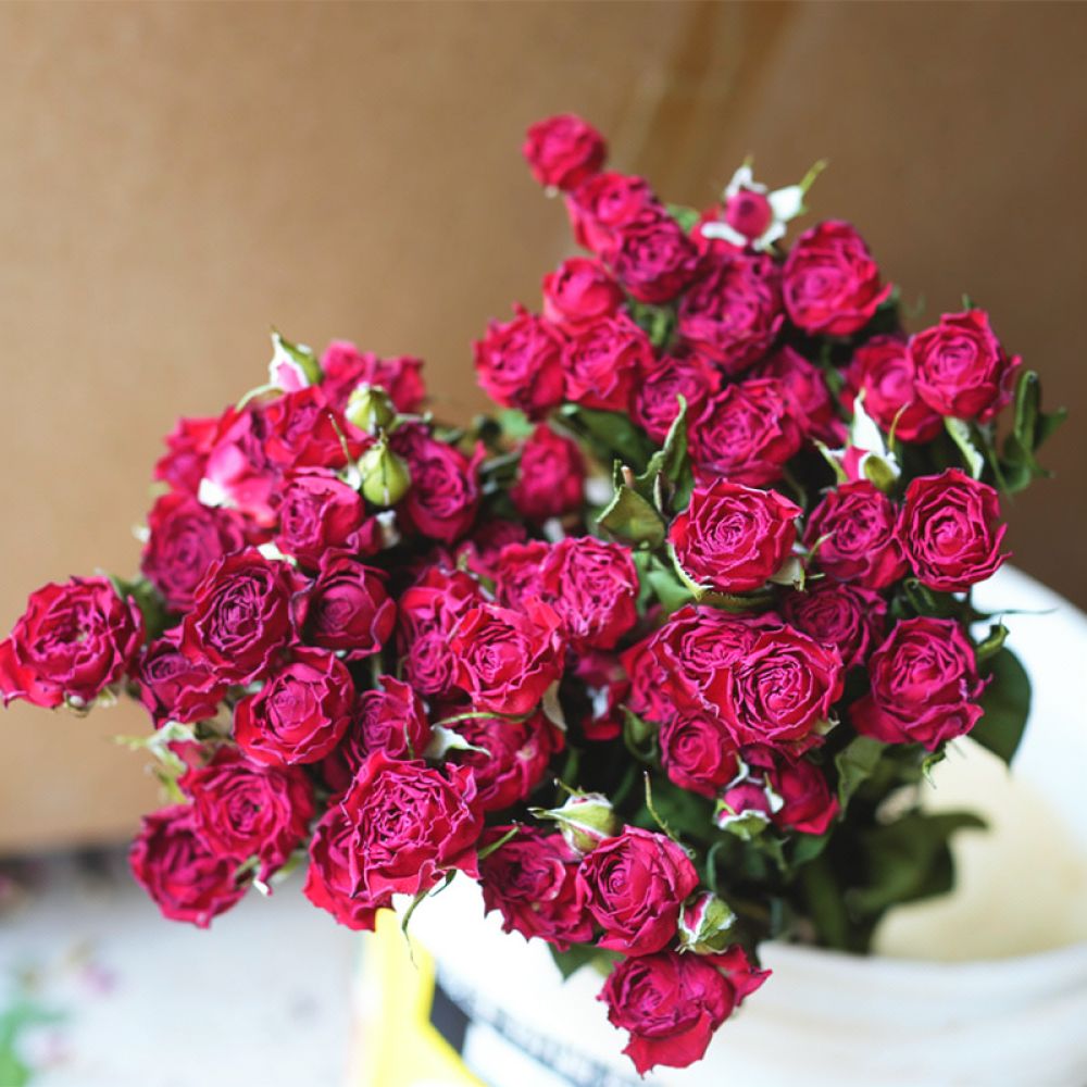 Natural Preserved Dried Rose F - Resin Art Rose review and price